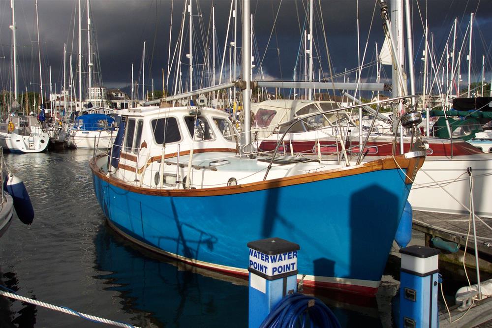 Colvic Watson Atlanta 29